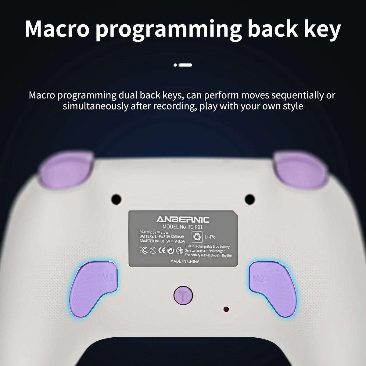 Anbernic Game Controller Play