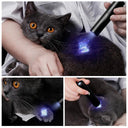 UV Pet Stain Detector & Mold Finder Flashlight Small Rechargeable