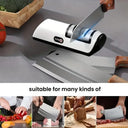 Professional Electric Knife Sharpener