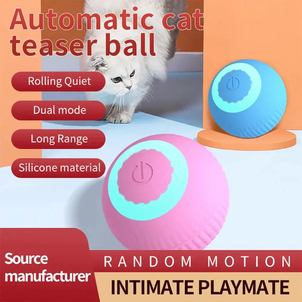 Interactive Cat Toy Ball Fast Rolling Pouch Kitten Toy
