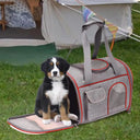 Pet Travel Carrier: Convenient Soft Carrier for Dogs Cats