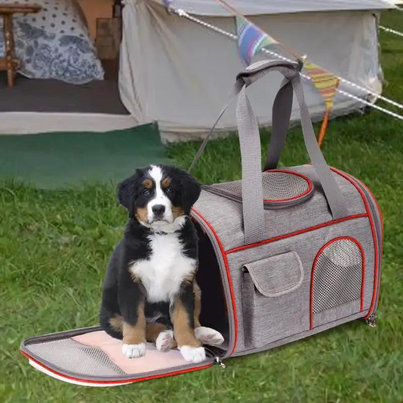PawVoyage Soft Travel Carrier For Dogs And Cats Comfort