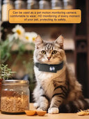 No WiFi Pet Collar Cam for Cats and Dogs