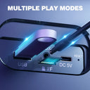 W-King Bluetooth Party Speaker