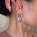 French Style Small Fragrance Pink Wheat Ear Zircon Earrings