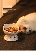 Pet Heating Winter Dog Automatic Warm Water Cat Device