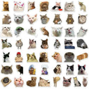 Smart Cat Mood Stickers for DIY Crafts
