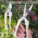 Precise Pruning Scissors for Florists