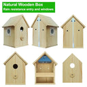 Real-Time Bird Watching Nest Box Camera