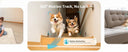 Peace Of Mind Camera For Pets And Elders