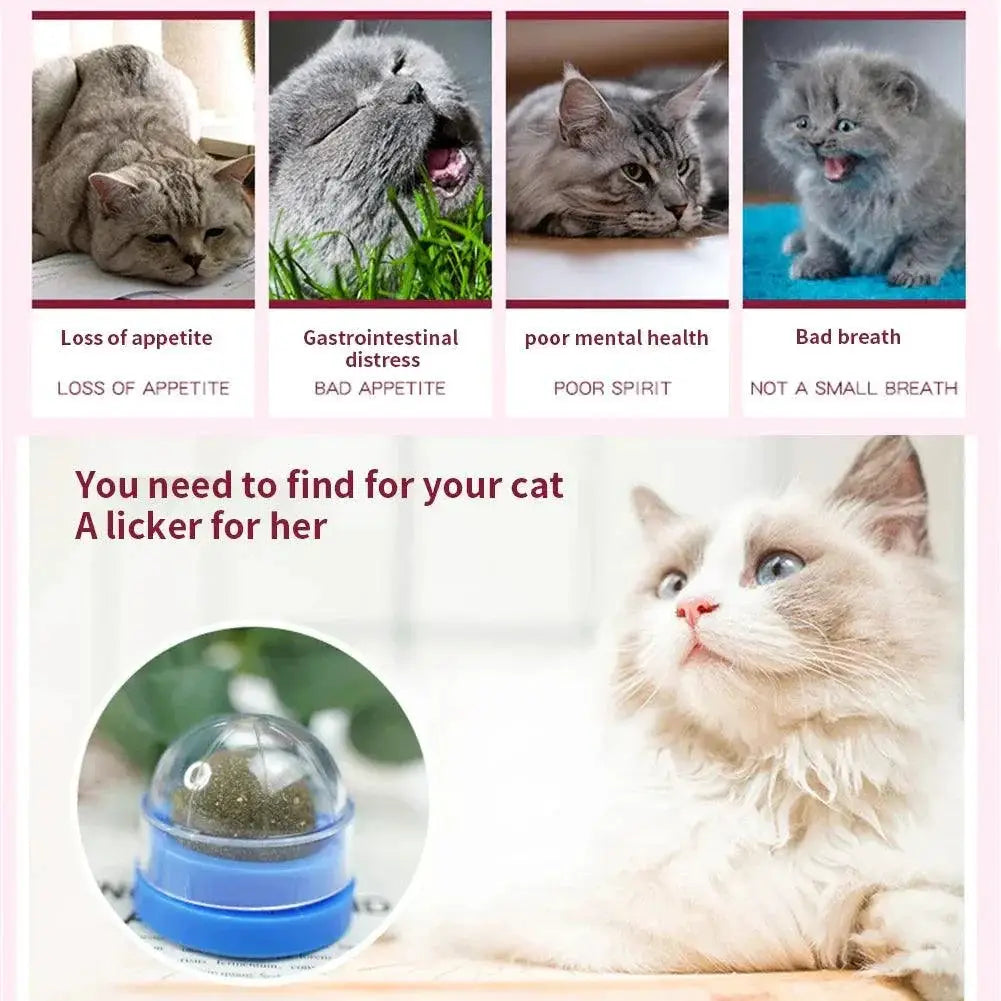 Catnip Wall Ball Cat Toy for Cats Dental Health for Kittens