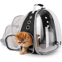 Cat Bubble Space Backpack: Stylish Pet Travel Solution