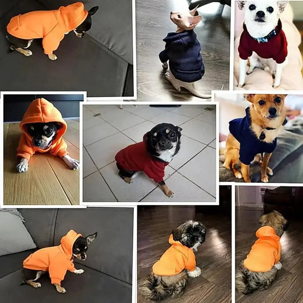 Hooded Pet Sweatshirt Warm Winter Hoodie For Pets Everyday