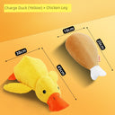 Large Dog Self-Hi Corgi Consumes Small Yellow Duck Toy