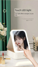 Travel Makeup Mirror With LED Light