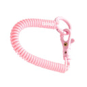 Keeps Keys Safe Spiral Keychain Holder