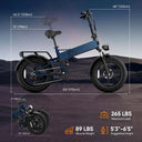 URLIFE T5 Foldable Fat Tire E Bike