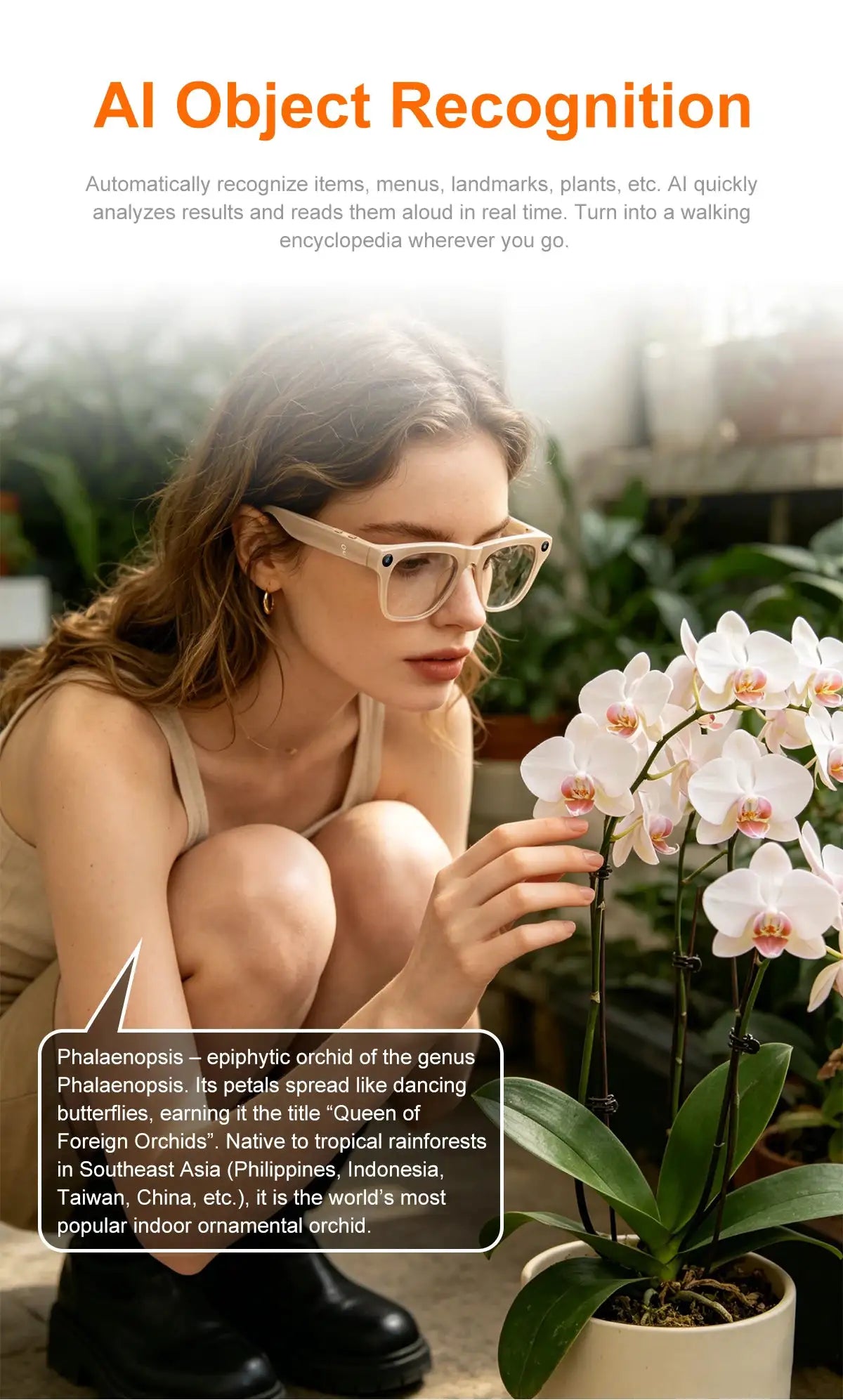 Smart Glasses AI Translation HD Camera Shooting Image Bluetooth — product view 5