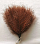 Effortless Pampas Grass Decor for Home