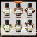 EUQEE 6 Piece Fragrance Oil Gift Set For Diffuser Oils
