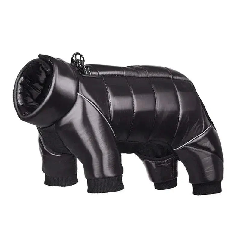 Warm Winter Coat for French Bulldog — product view 9