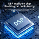 Karaoke Machine Bluetooth PA System with Microphones