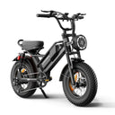 Adult Fat Tire Electric Bicycle