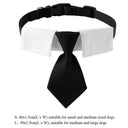 Pet Bow Tie Collar for Stylish Occasions
