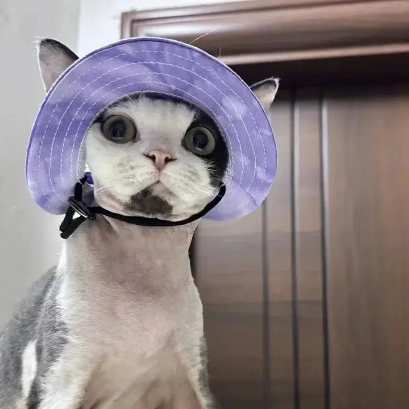 Cute Cat And Dog Sun Hat With Exposed Ears For Pets Outdoor