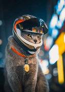 Pet Motorcycle Helmet: Stylish Safety Gear for Pets