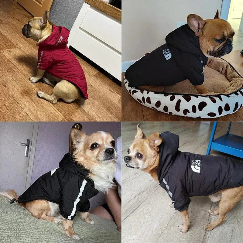 Winter Reflective Waterproof Dog Jacket for Small Dogs