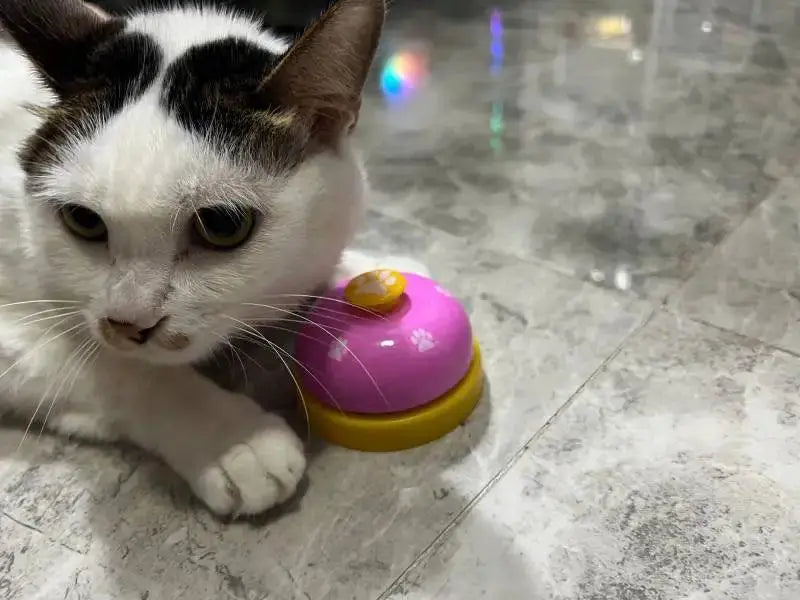Pet Bell Interactive Training Toy for Small Dogs and Cats