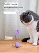 Autonomous Jumping Ball Cat Toy Indoors