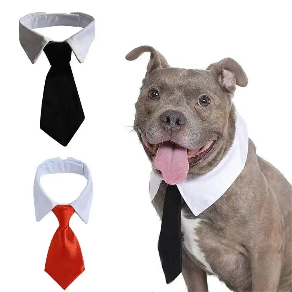 Pet Formal Necktie Tuxedo Bow Tie Black Red Collar
