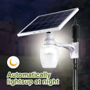 Outdoor Solar Garden Light With Remote