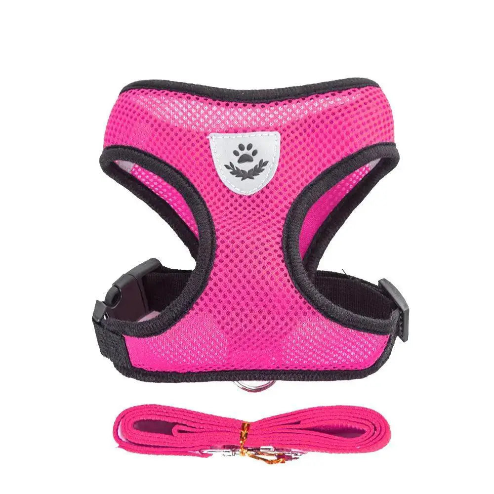 Breathable Mesh Dog Leash and Harness Set for Small Breeds
