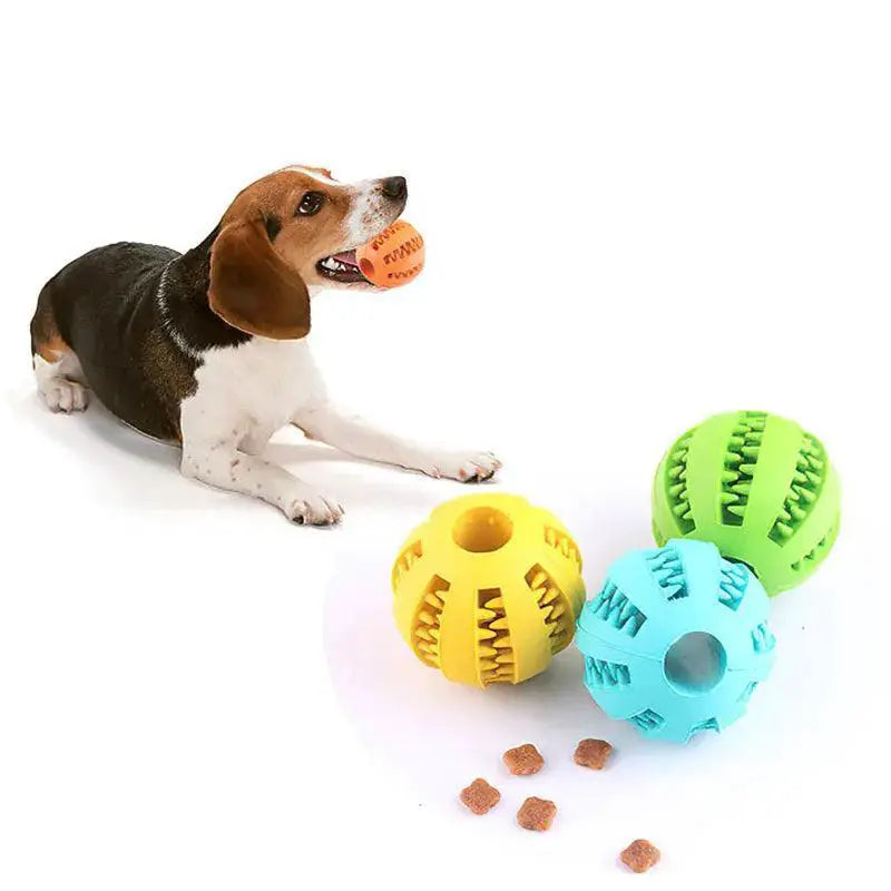 Interactive Rubber Chew Toy For Small Dogs Fun Games