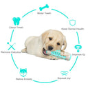 Dog Teeth Cleaning Toy for Puppies: Interactive Dental Care