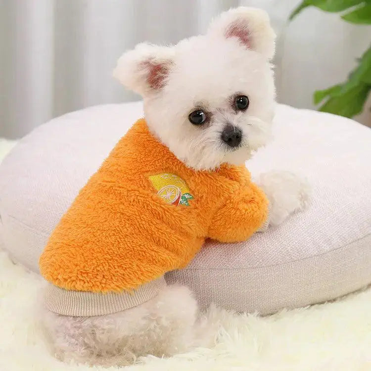 Chihuahua Dog Hoodies Warm Coat For Small Dogs Cozy
