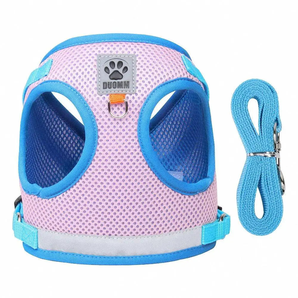Escape-Proof Cat Harness for Outdoor Use — product view 12