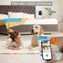Real Time Pet Monitoring Camera For Pet Guardians