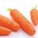 Carrot Cat Toy Chew And Play For Cats Charming Fun
