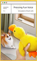 Durable Dog Chew Toy for Large Dogs