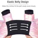 Winter Dog Down Jacket: Waterproof Coat for French Bulldog