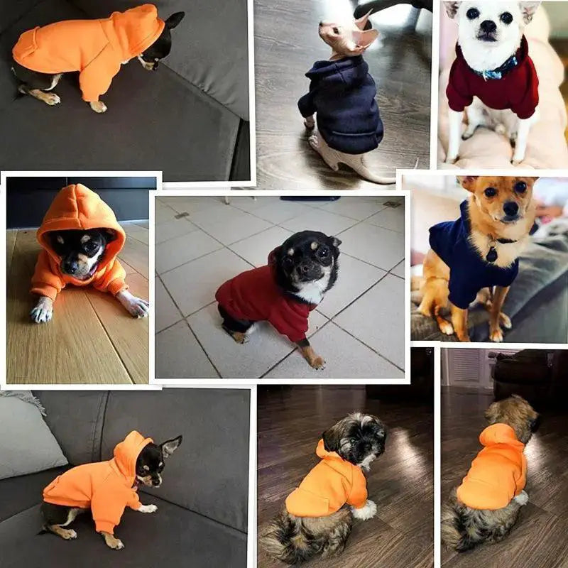 Warm Dog Coat Hoodies For Small Dogs Stylish Pet Clothes