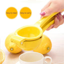 Portable Aluminum Lemon Squeezer & Mini Blender Kit Set