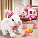 Children's Interactive Rabbit Electronic Pet Soft Fun Gift