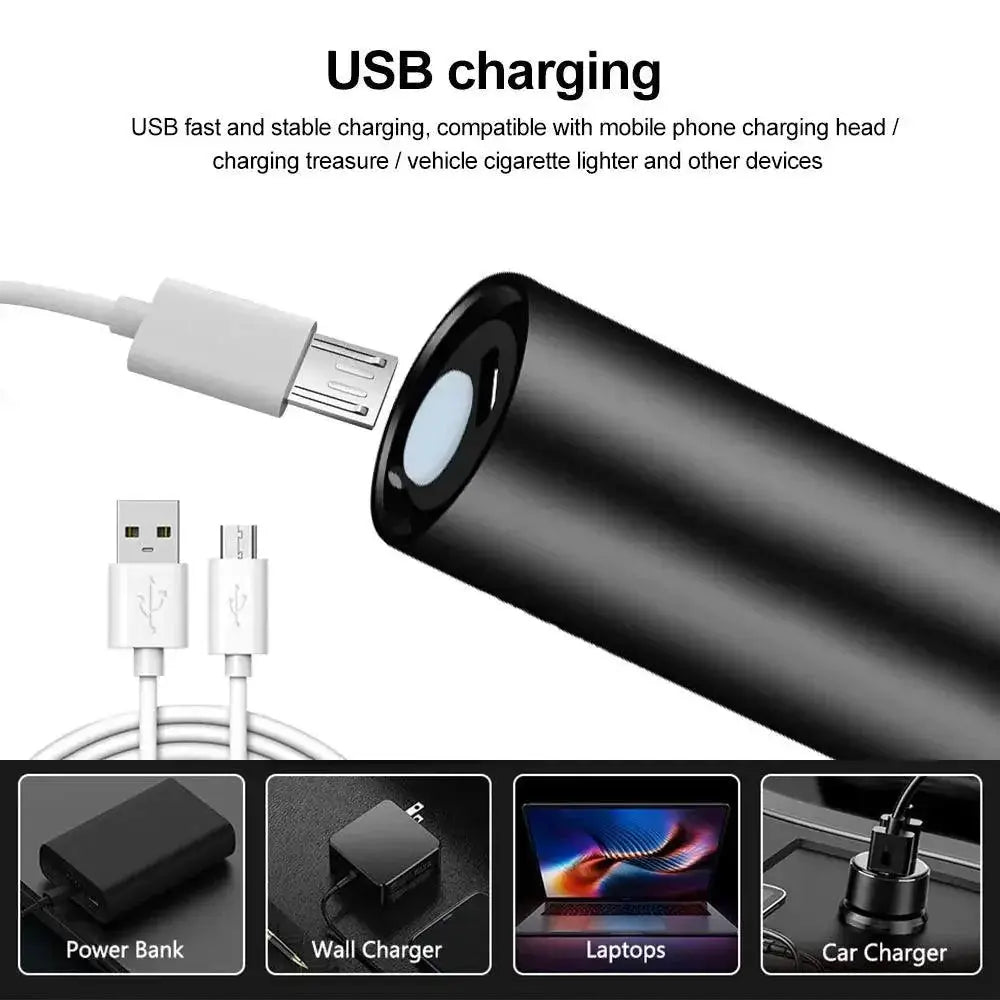 Mini UV Blacklight Flashlight For Pet Urine And Scorpion