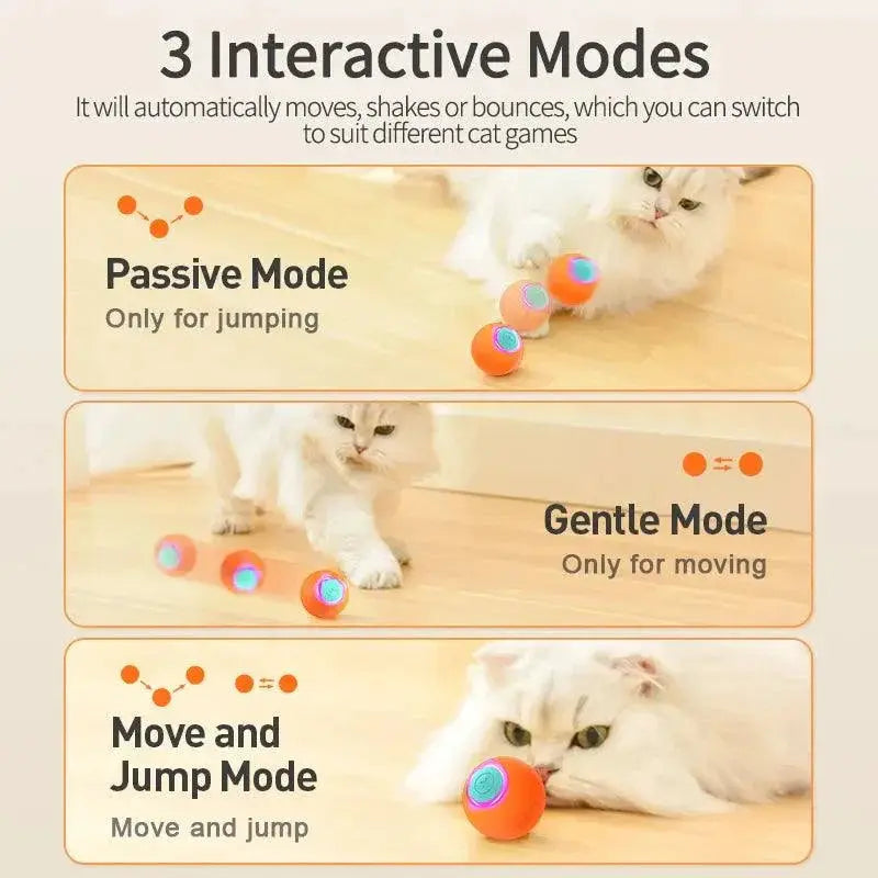 ROJECO Interactive Cat Bouncing Ball Toy for Engaging Fun