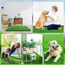 Breathable Pet Lawn Pad for Indoor Pets